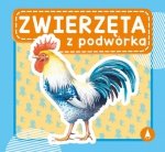 Zwierzęta z podwórka. Wydawnictwo Skrzat