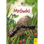 Młodzi przyrodnicy. Mrówki