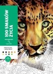 100 smaków życia. Kolorowanka antystresowa. Zagadkowe rysunki