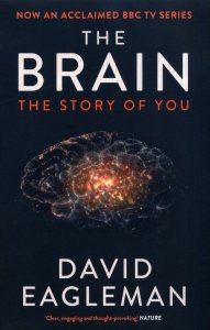 The Brain The Story of You