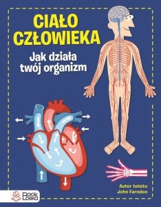 Ciało człowieka. Jak działa Twój organizm.