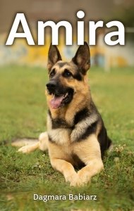Amira