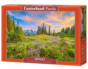 Puzzle 2000 Blossoms of Morning