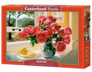 Puzzle 3000 Summer Reminiscence