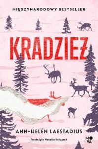Kradzież