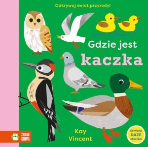 Gdzie jest kaczka. Gdzie jest…