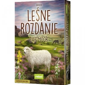Gra Leśne rozdanie Dartmoor