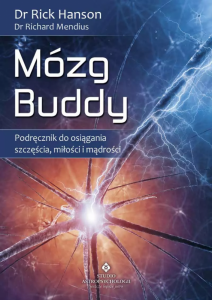 Mózg Buddy