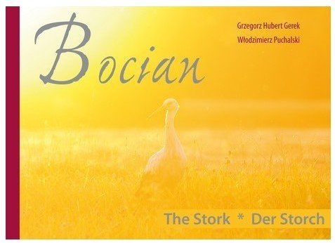 Bocian. The Stork. Der Storch