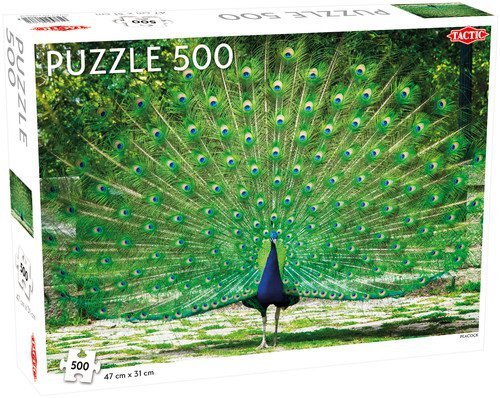 Puzzle Piękny Paw Peacock 500