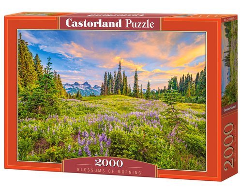 Puzzle 2000 Blossoms of Morning