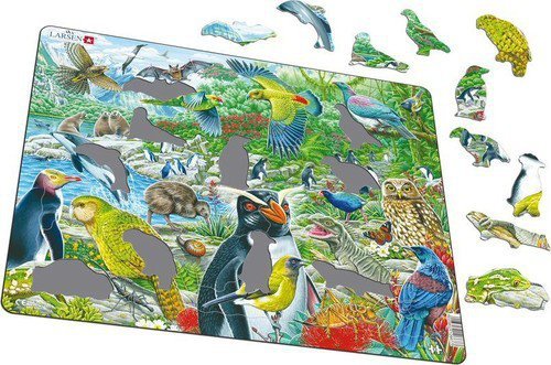 Larsen New Zealand&#039;s Picturesque Wildlife (Maxi)