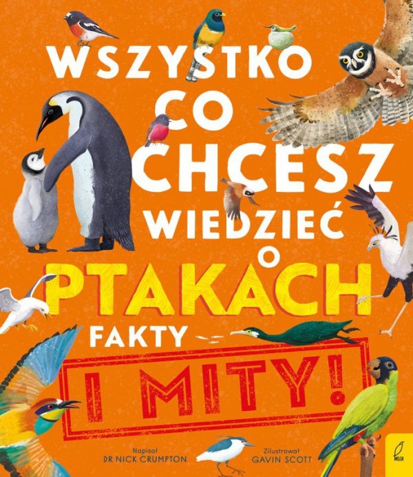 Wszystko, co chcesz wiedzieć o ptakach. Fakty i mity