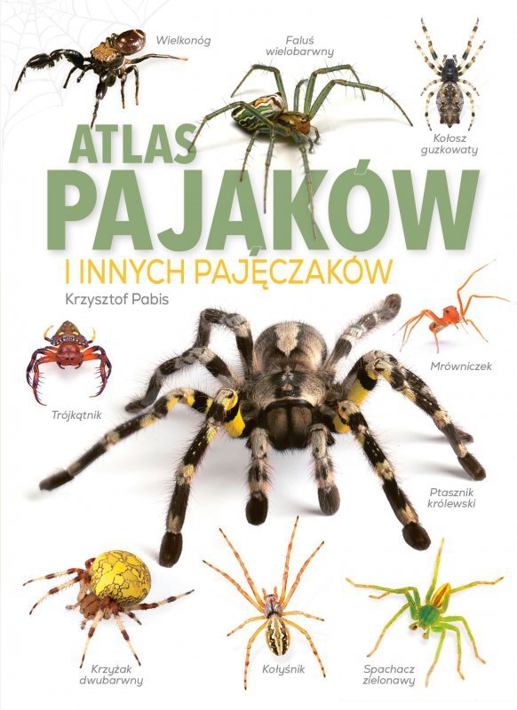Atlas Pająków. i innych pajęczaków