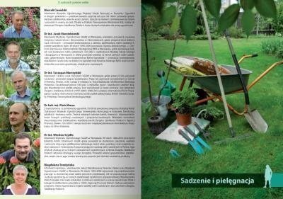 Rośliny do każdego ogrodu