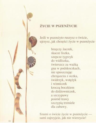 Gimnastyka Dla Jezyka I Polaka I Anglika Do Nauczania