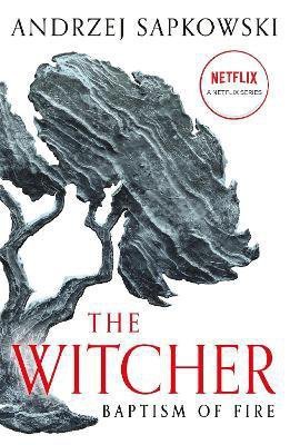 Baptism of Fire. The Witcher. Book 3