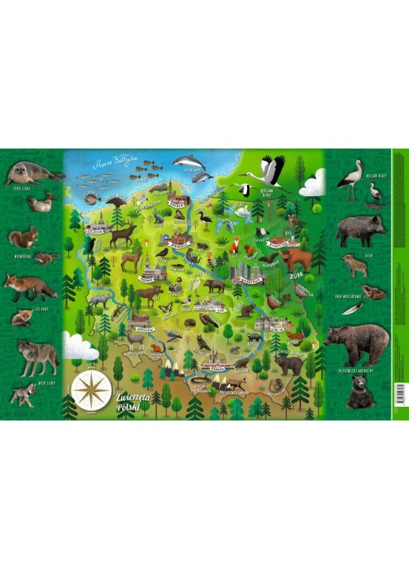 ŚWIAT - mapa polityczna JUNIOR. Mappuzzle. Plakat