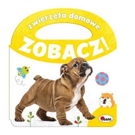Zobacz! Zwierzęta Domowe