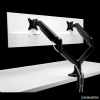 Podwójne ramię do monitora One Touch Kensington K59601WW