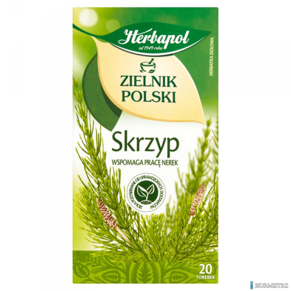 Herbata HERBAPOL ZIELNIK POLSKI Skrzyp (20 torebek)