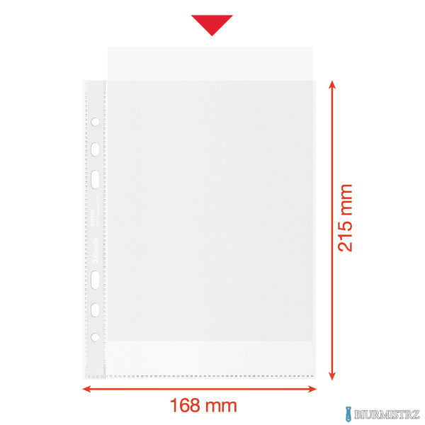 Koszulka groszkowa Recycled Premium PP 70 mic. A5, w kartonie, 100 szt. Esselte 627495