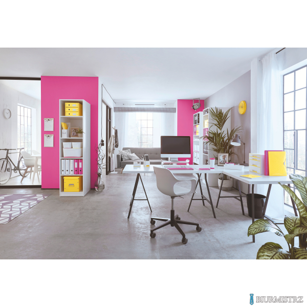 Pudło LEITZ C&S uniwersalne małe WOW różowe 60430023