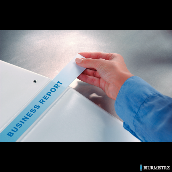 Segregator PANORAMA A4 4DR/20 38mm niebieski ESSELTE 49757