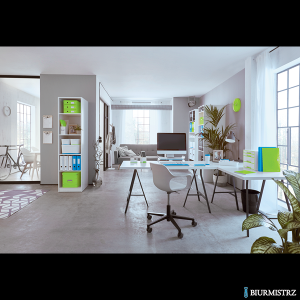 Skoroszyt kartonowy WOW Leitz, zielony 30010054