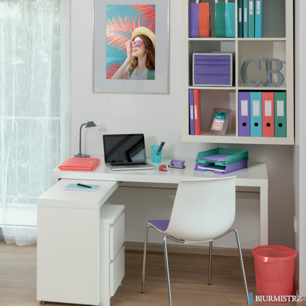 Zszywacz mini Rapid ColourBreeze F4, 10 kartek, 5 lat gwarancji, niebieski 5001327
