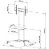 Techly Stojak mobilny LCD/LED 30-65cali,60kg, regulowany