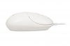 iBOX Mysz  i011 Seagull