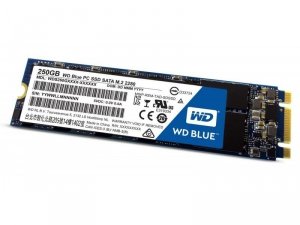 Western Digital Blue SSD 250GB SATA M.2 2280 WDS250G2B0B