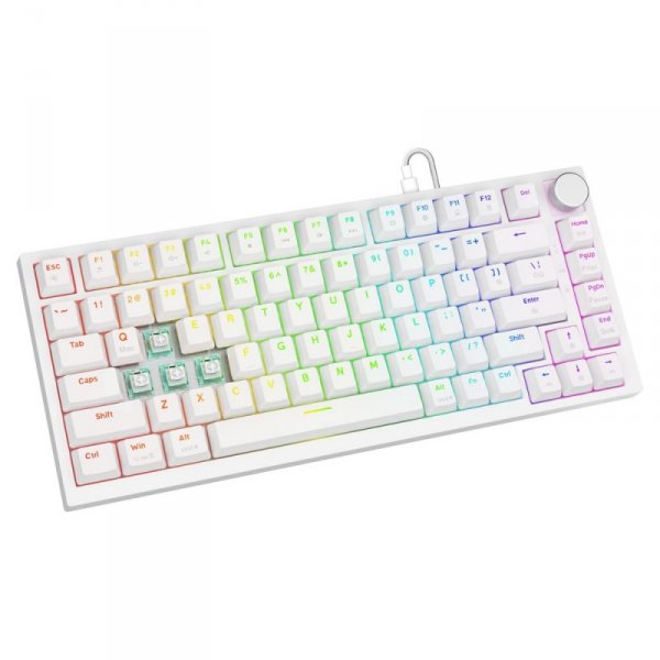 Savio Klawiatura magnetyczna ASTRAL White OUTEMU White jade RGB