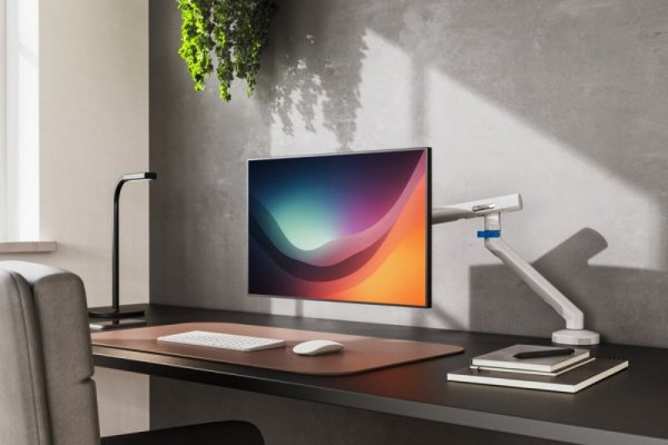 Digitus Ramię biurkowe pojedyncze z zaciskiem i sprężyną mechaniczną 1x LCD max. 35" 10kg, VESA: 75x75, 100x100, białe