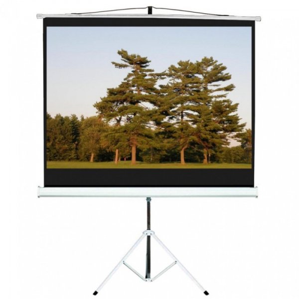 Maclean Ekran projekcyjny MC-536 na stojaku 72" 4:3 145x110