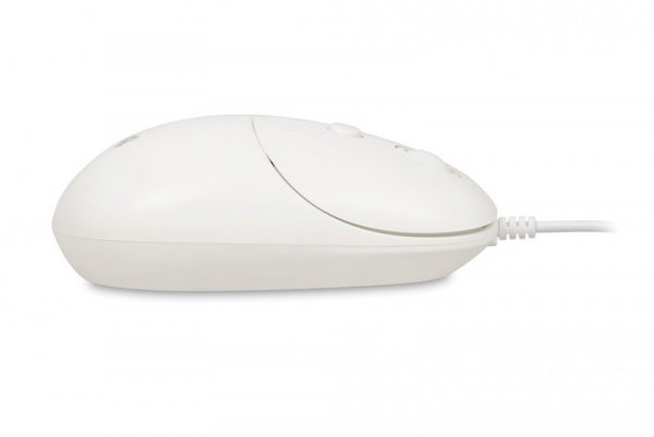 iBOX Mysz  i011 Seagull