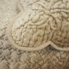 Narzuta typu velvet Hasita beż 200x220