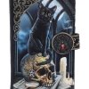 duży portfel na zamek z kotem i czaszką Duchy Salem Lisy Parker od Nemesis Now
