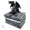 szkatułka ze smokiem na książkach anne stokes pomysł na prezent gotyckie gadżety