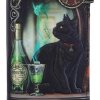 wytłaczany portfel z nadrukiem - Magiczny Kot i Zielona Wróżka Lisa Parker Nemesis Now
