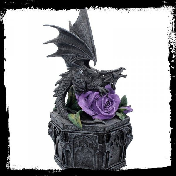 gotycka szkatułka ze smokiem anne stokes dragon beauty szkatuła magiczna na prezent