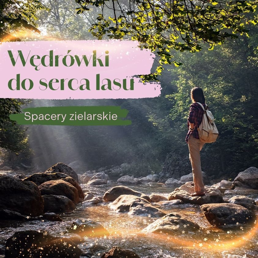 Wprowadzimy Cię w Twoją ścieżkę do zdrowia! 