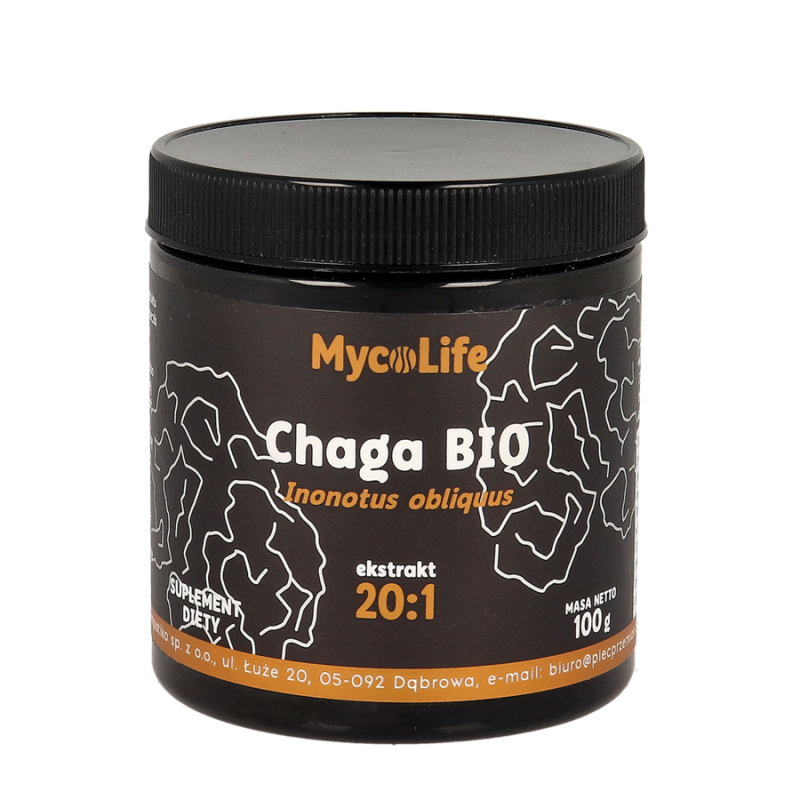 Chaga Guz Brzozy BIO 100g