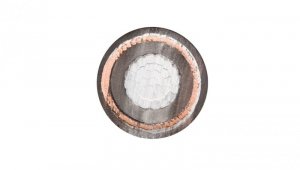 Kabel energetyczny XRUHAKXS 1x120/50 12/20kV /bębnowy/