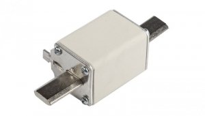 Wkładka bezpiecznikowa NH1 100A gF 500V 004139117