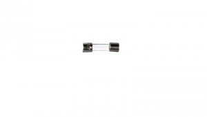 Wkładka aparatowa 5x20mm 1A F /szybka/ 250V 006710003 /10szt./