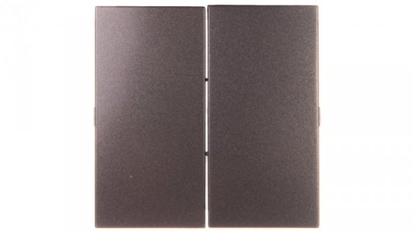 Simon 54 Klawisz podwójny do SW7/2XM i SW6P1M antracyt DKW9/48