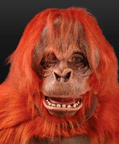 Maska lateksowa - Orangutan