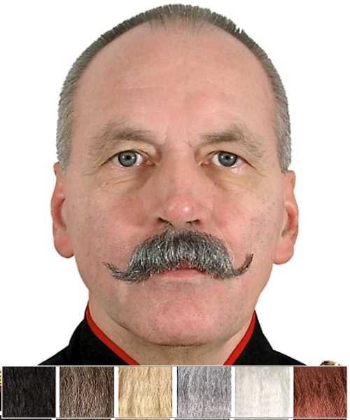 Sztuczne wąsy Wilhelm realistyczny zarost do charakteryzacji